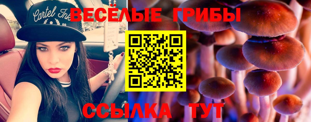 Галлюциногенные грибы ЛСД  Вход с VPN  Тында  где можно купить   Псилоцибиновые грибы мицелий 