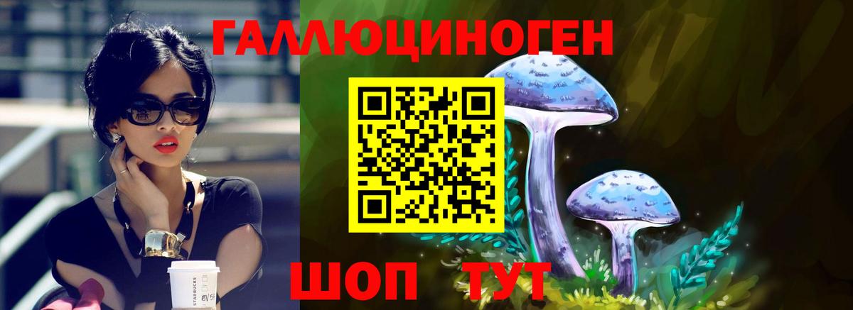 Псилоцибиновые грибы мухоморы  Тында 